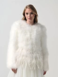 Poirier BOL-25 Maraboe Jasje Ivoor