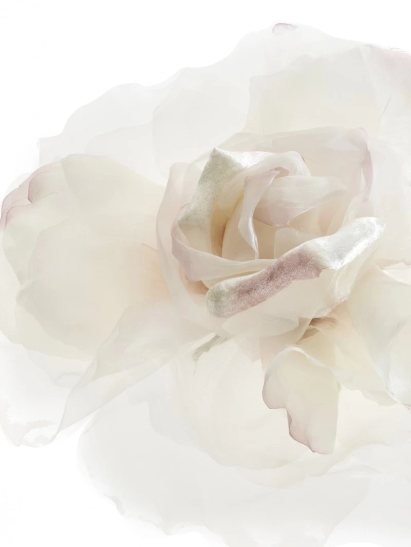 Poirier HT-201-Ivory/Pink Bloem 4 Poirier HT-201-Ivory/Pink Bloem - Afbeelding 2